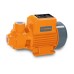 1/2 hp peripheral impelier water pump truper